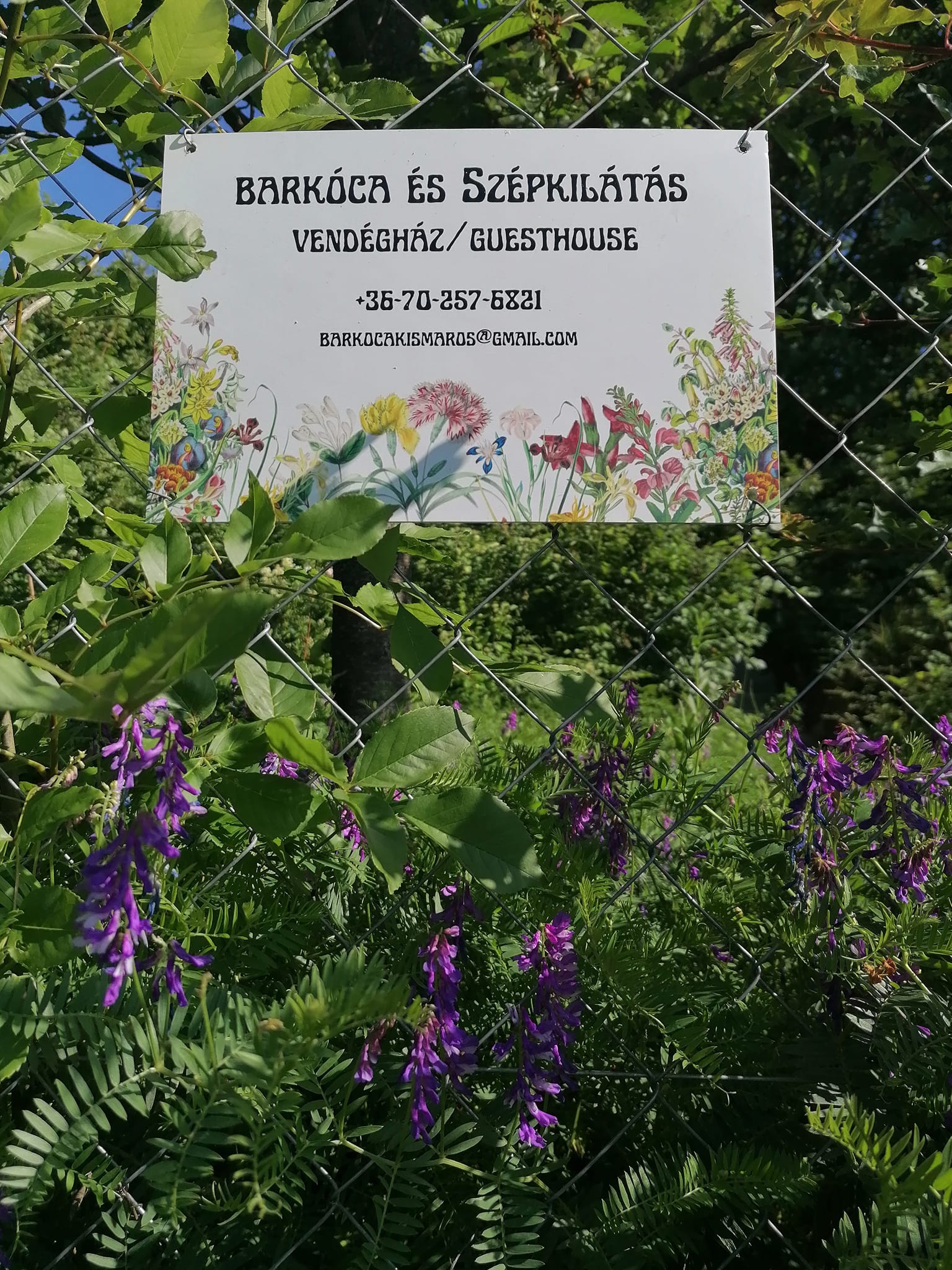 Barkóca